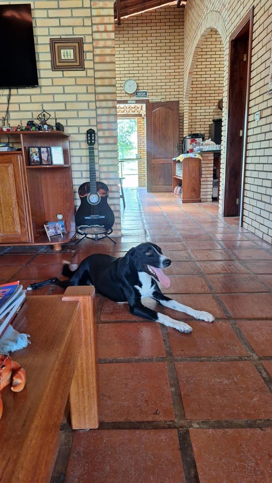 Guest house Solar Fontes *